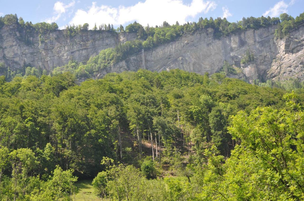 Ferienwohnungen Alter Raaben Rüti Exterior foto