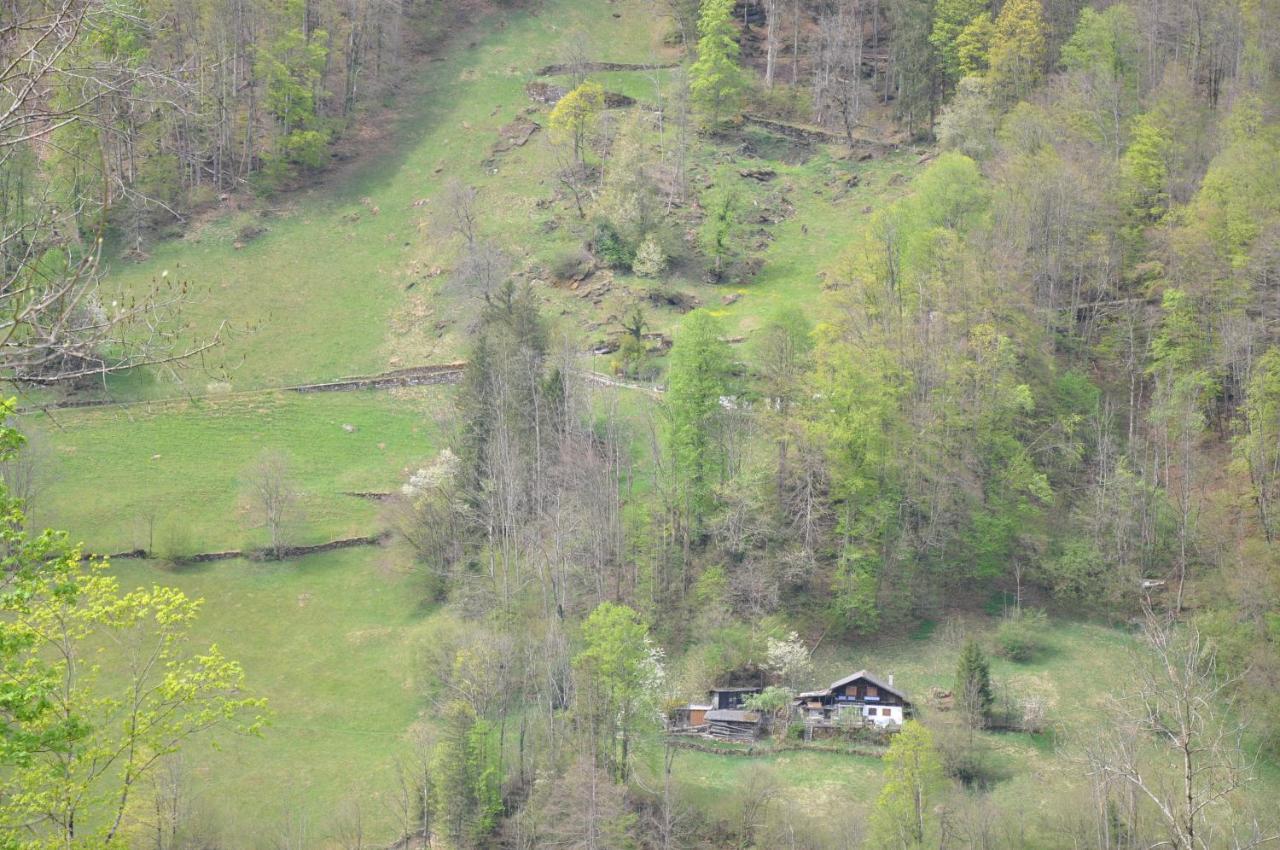 Ferienwohnungen Alter Raaben Rüti Exterior foto