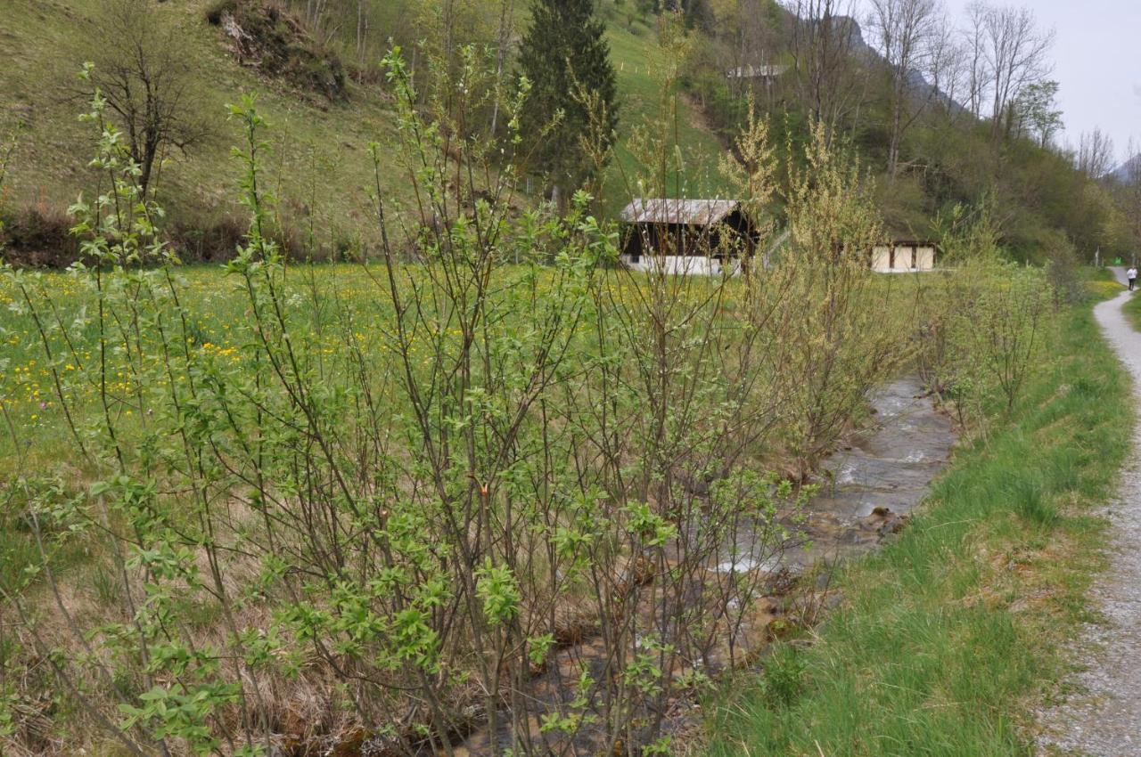 Ferienwohnungen Alter Raaben Rüti Exterior foto